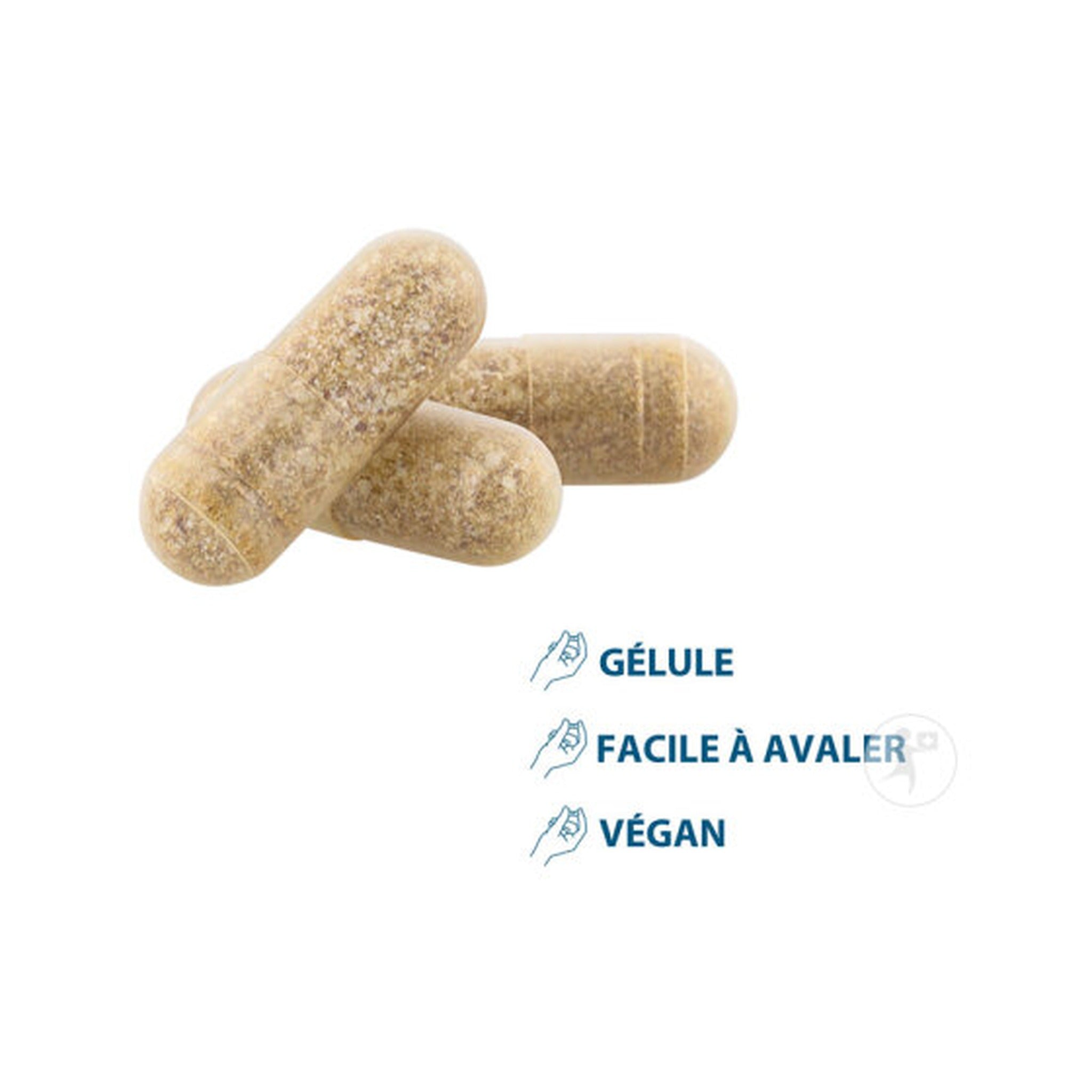 Ducray Anacaps Expert Antichute Progressive Chute De Cheveux Chronique 90 Gélules