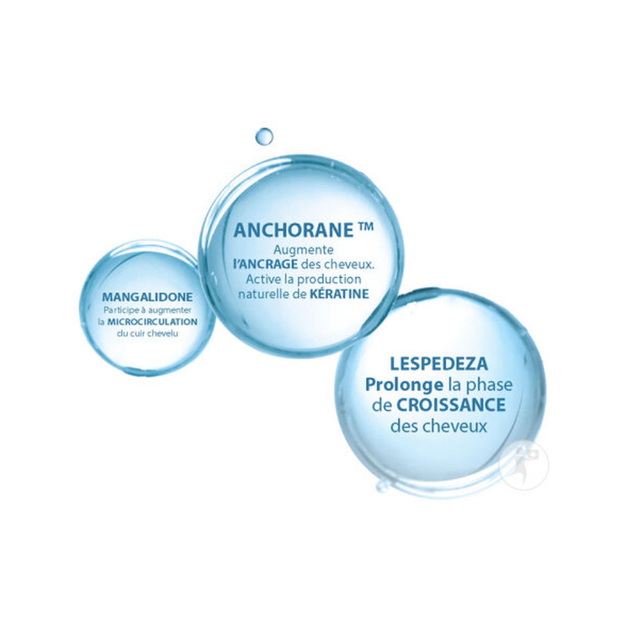 Ducray Anaphase Neoptide Sérum Antichute Ancrage 2x50ml