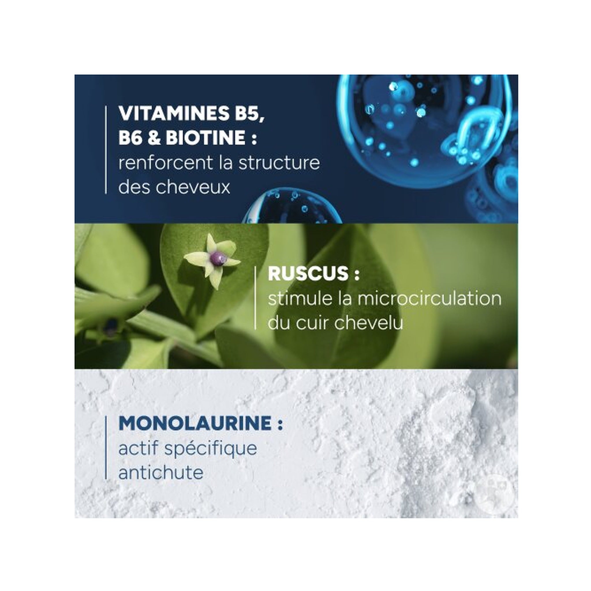 Ducray Anaphase Shampoing Antichute Anti-Affinement Flacon 400ml