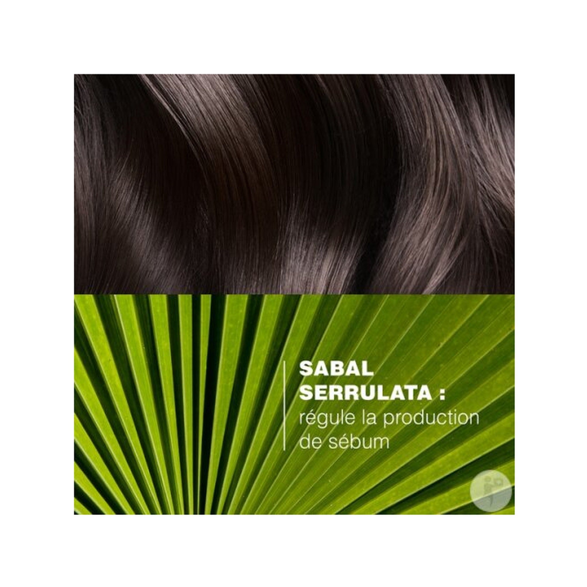 Ducray Sabal Shampoing Traitant Sébo-Régulateur Cuir Chevelu Et Cheveux Gras 200ml