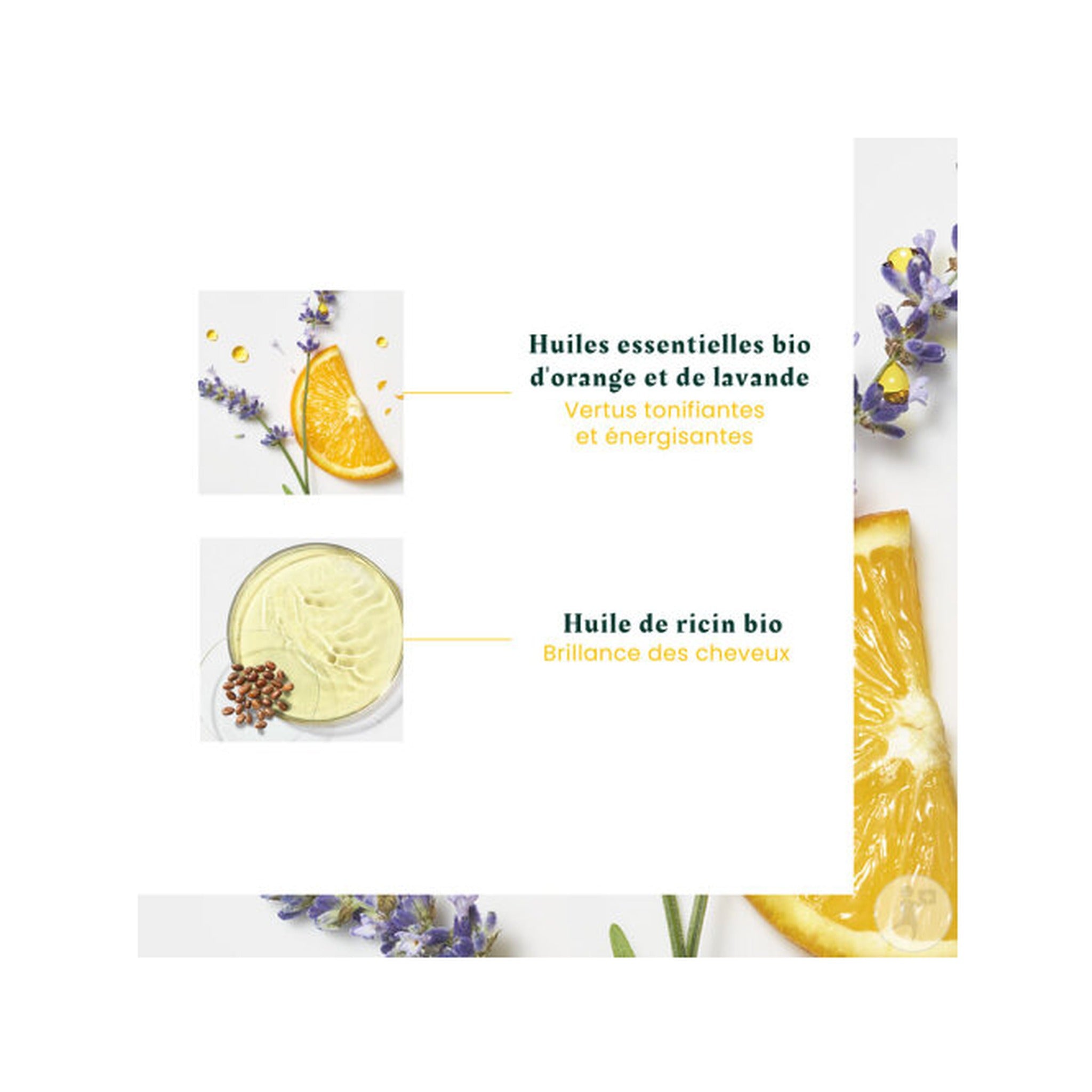 René Furterer Head Spa Complexe 5 Concentré Énergisant Force & Vitalité Huiles Essentielles 50ml