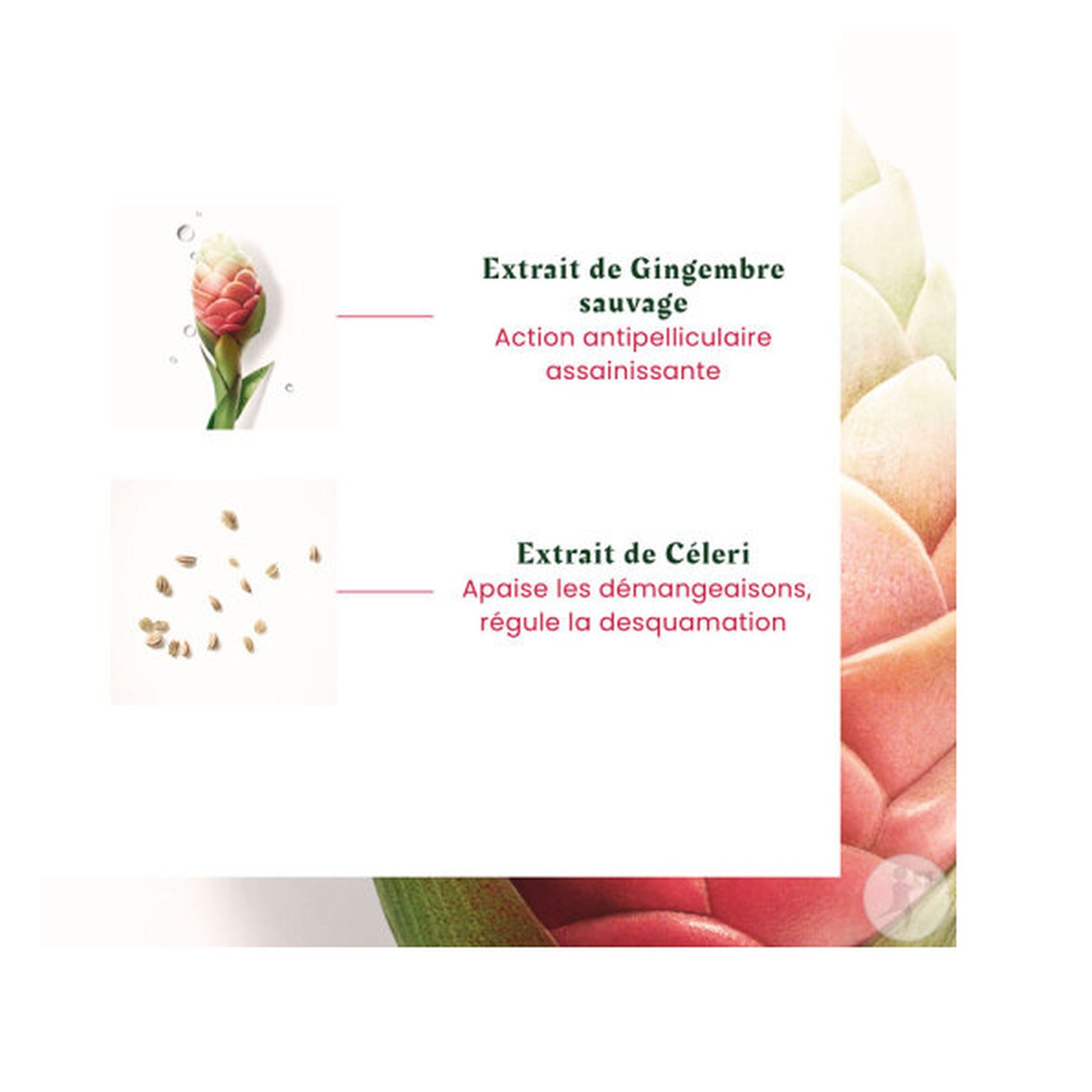 René Furterer Neopur Shampoing Antipelliculaire Équilibrant Pellicules Grasses 150ml